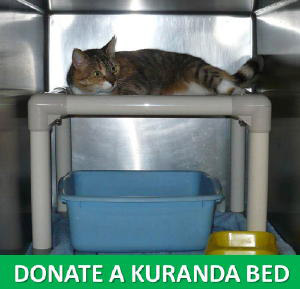 kurandabed